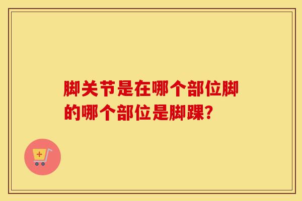 脚关节是在哪个部位脚的哪个部位是脚踝？