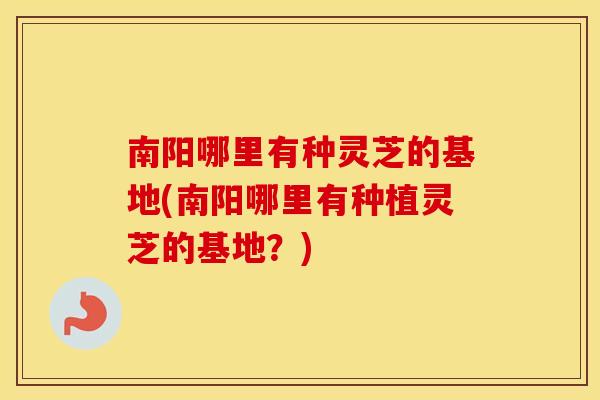 南阳哪里有种灵芝的基地(南阳哪里有种植灵芝的基地？)