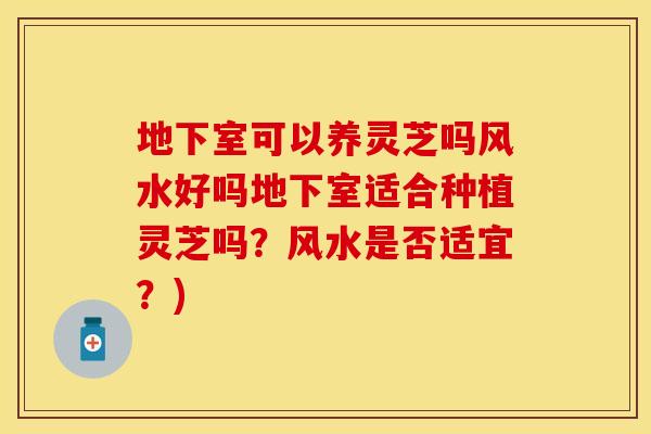地下室可以养灵芝吗风水好吗地下室适合种植灵芝吗？风水是否适宜？)