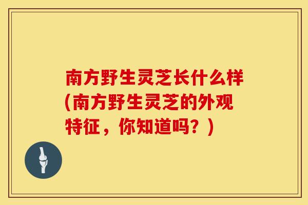 南方野生灵芝长什么样(南方野生灵芝的外观特征，你知道吗？)