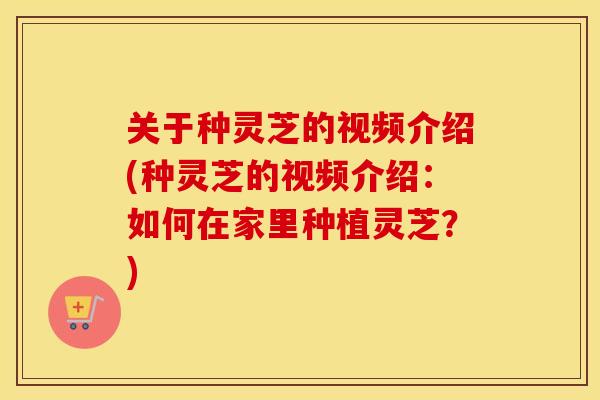 关于种灵芝的视频介绍(种灵芝的视频介绍：如何在家里种植灵芝？)