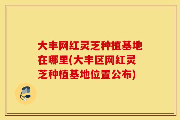 大丰网红灵芝种植基地在哪里(大丰区网红灵芝种植基地位置公布)