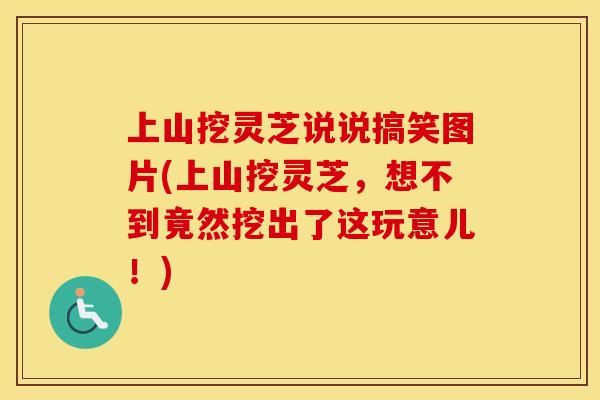 上山挖灵芝说说搞笑图片(上山挖灵芝，想不到竟然挖出了这玩意儿！)
