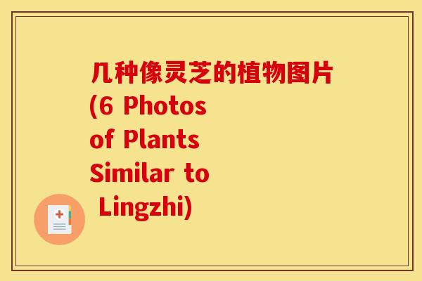 几种像灵芝的植物图片(6 Photos of Plants Similar to Lingzhi)