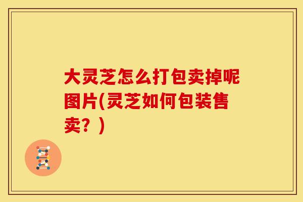 大灵芝怎么打包卖掉呢图片(灵芝如何包装售卖？)