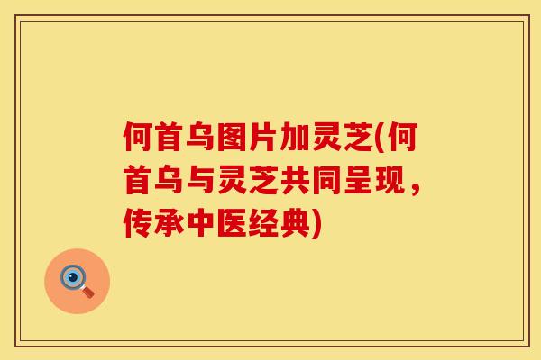 何首乌图片加灵芝(何首乌与灵芝共同呈现，传承中医经典)