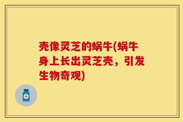 壳像灵芝的蜗牛(蜗牛身上长出灵芝壳，引发生物奇观)