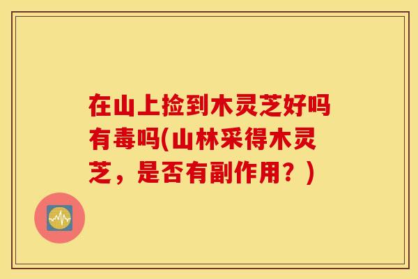 在山上捡到木灵芝好吗有毒吗(山林采得木灵芝，是否有副作用？)