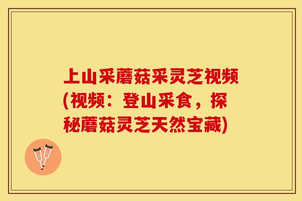 上山采蘑菇采灵芝视频(视频：登山采食，探秘蘑菇灵芝天然宝藏)