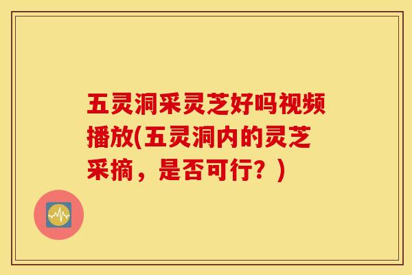 五灵洞采灵芝好吗视频播放(五灵洞内的灵芝采摘,是否可行?) 五灵洞采灵芝好吗视频播放(五灵洞内的灵芝采摘,是否可行?)