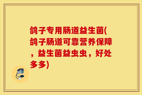 鸽子专用肠道益生菌(鸽子肠道可靠营养保障，益生菌益虫虫，好处多多)