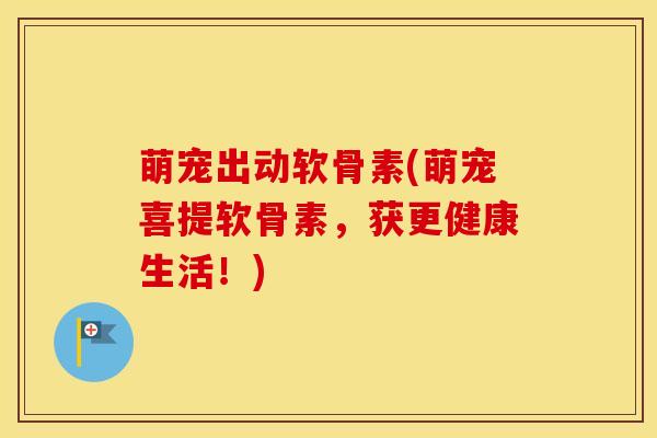 萌宠出动软骨素(萌宠喜提软骨素，获更健康生活！)