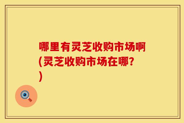 哪里有灵芝收购市场啊(灵芝收购市场在哪？)