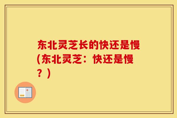 东北灵芝长的快还是慢(东北灵芝：快还是慢？)