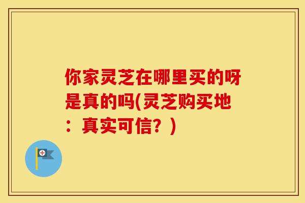 你家灵芝在哪里买的呀是真的吗(灵芝购买地：真实可信？)