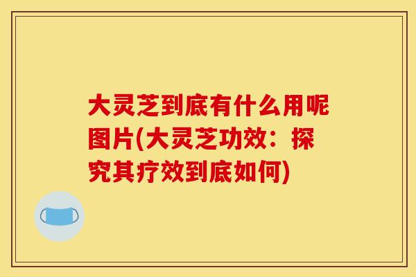 大灵芝到底有什么用呢图片(大灵芝功效：探究其疗效到底如何)