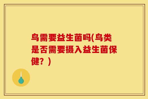 鸟需要益生菌吗(鸟类是否需要摄入益生菌保健？)