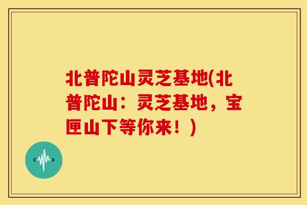 北普陀山灵芝基地(北普陀山：灵芝基地，宝匣山下等你来！)