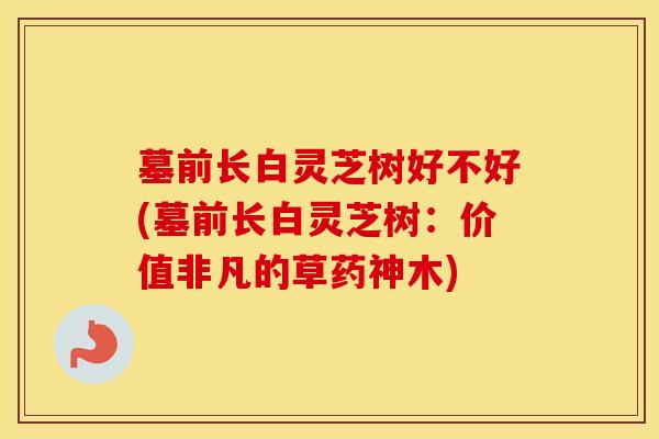 墓前长白灵芝树好不好(墓前长白灵芝树：价值非凡的草药神木)