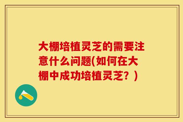 大棚培植灵芝的需要注意什么问题(如何在大棚中成功培植灵芝？)