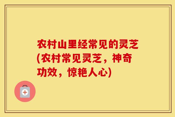农村山里经常见的灵芝(农村常见灵芝，神奇功效，惊艳人心)