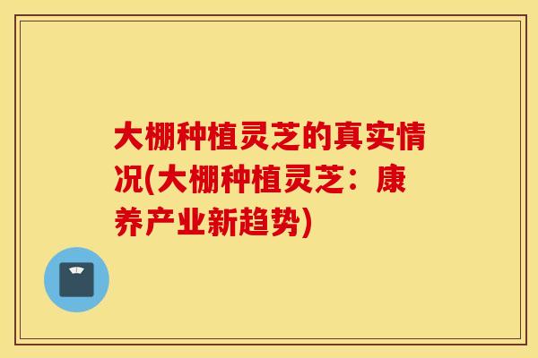 大棚种植灵芝的真实情况(大棚种植灵芝：康养产业新趋势)