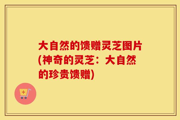 大自然的馈赠灵芝图片(神奇的灵芝：大自然的珍贵馈赠)