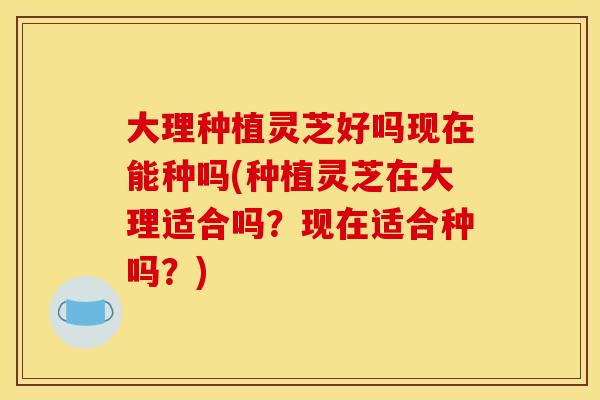 大理种植灵芝好吗现在能种吗(种植灵芝在大理适合吗？现在适合种吗？)