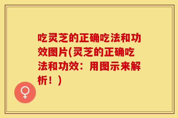 吃灵芝的正确吃法和功效图片(灵芝的正确吃法和功效：用图示来解析！)