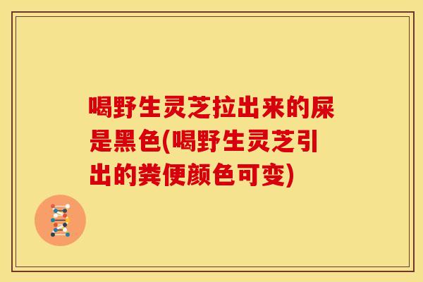 喝野生灵芝拉出来的屎是黑色(喝野生灵芝引出的粪便颜色可变)
