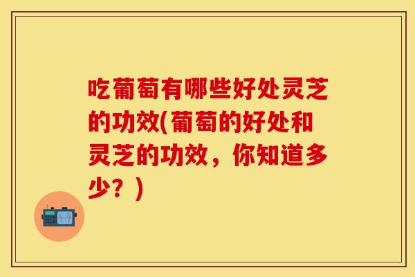 吃葡萄有哪些好处灵芝的功效(葡萄的好处和灵芝的功效，你知道多少？)