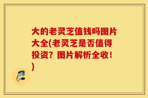 大的老灵芝值钱吗图片大全(老灵芝是否值得投资？图片解析全收！)
