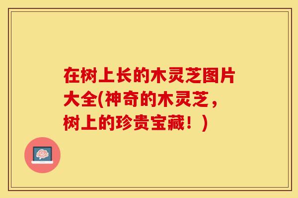 在树上长的木灵芝图片大全(神奇的木灵芝，树上的珍贵宝藏！)