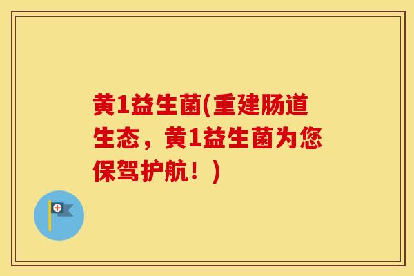 黄1益生菌(重建肠道生态，黄1益生菌为您保驾护航！)