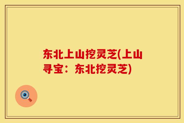 东北上山挖灵芝(上山寻宝：东北挖灵芝)