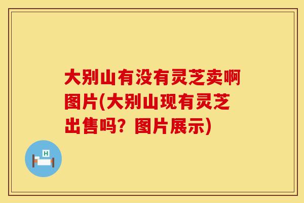 大别山有没有灵芝卖啊图片(大别山现有灵芝出售吗?图片展示) 大别山有没有灵芝卖啊图片(大别山现有灵芝出售吗?图片展示)