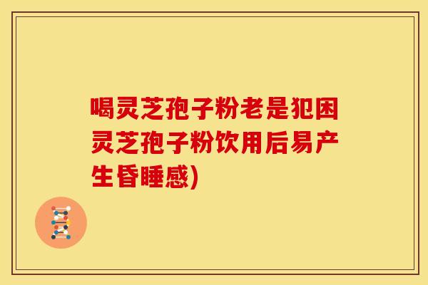 喝灵芝孢子粉老是犯困灵芝孢子粉饮用后易产生昏睡感)