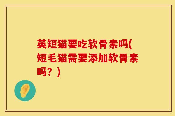 英短猫要吃软骨素吗(短毛猫需要添加软骨素吗？)