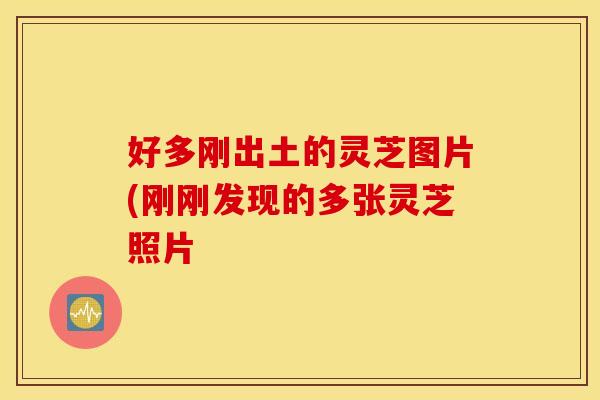 好多刚出土的灵芝图片(刚刚发现的多张灵芝照片 好多刚出土的灵芝图片(刚刚发现的多张灵芝照片