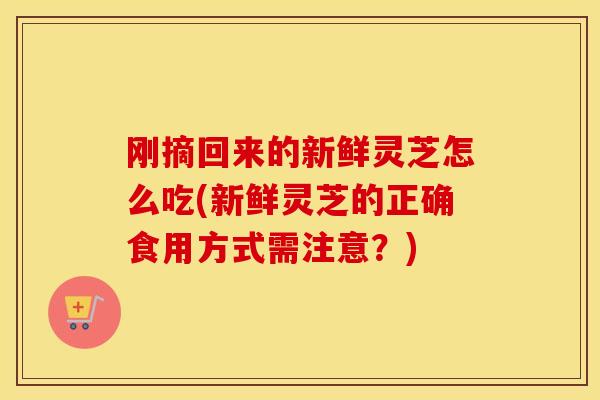 刚摘回来的新鲜灵芝怎么吃(新鲜灵芝的正确食用方式需注意？)