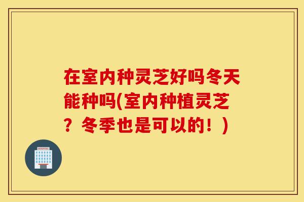 在室内种灵芝好吗冬天能种吗(室内种植灵芝？冬季也是可以的！)