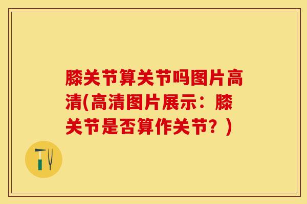 膝关节算关节吗图片高清(高清图片展示：膝关节是否算作关节？)