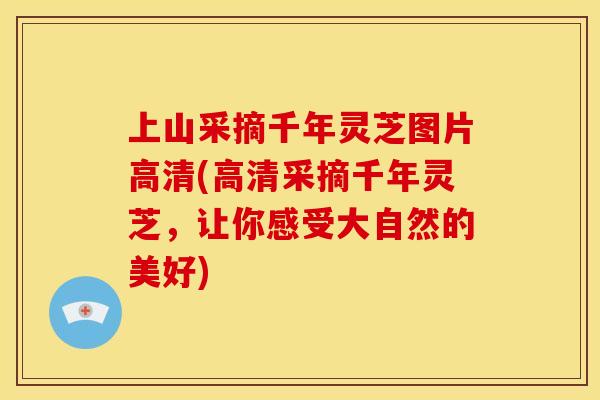 上山采摘千年灵芝图片高清(高清采摘千年灵芝，让你感受大自然的美好)
