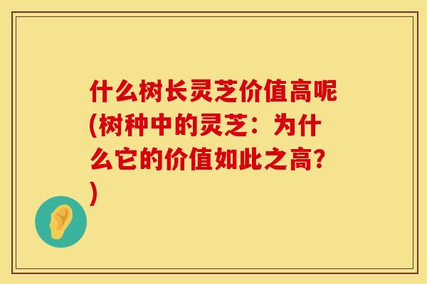 什么树长灵芝价值高呢(树种中的灵芝：为什么它的价值如此之高？)
