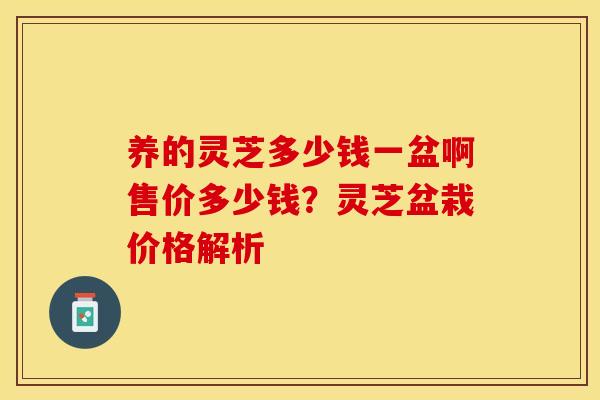 养的灵芝多少钱一盆啊售价多少钱？灵芝盆栽价格解析