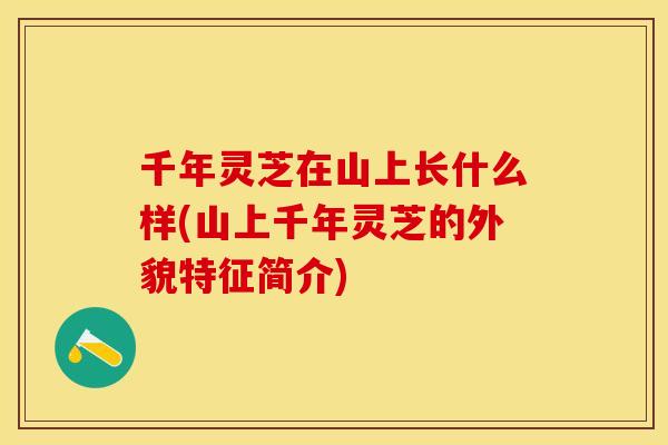 千年灵芝在山上长什么样(山上千年灵芝的外貌特征简介)