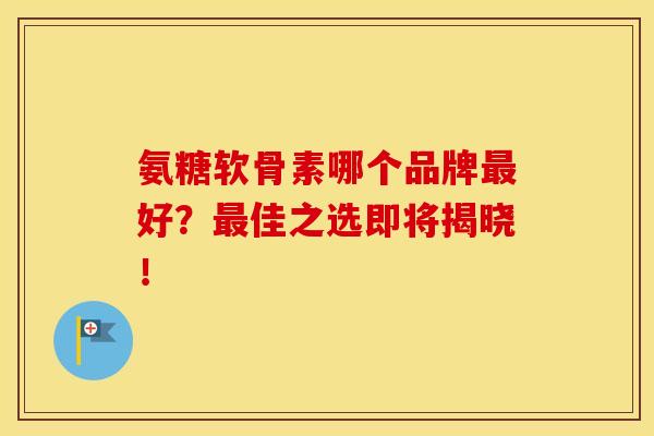 氨糖软骨素哪个品牌最好？最佳之选即将揭晓！