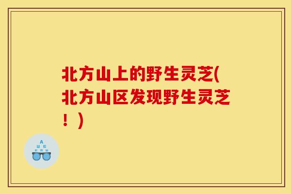 北方山上的野生灵芝(北方山区发现野生灵芝！)