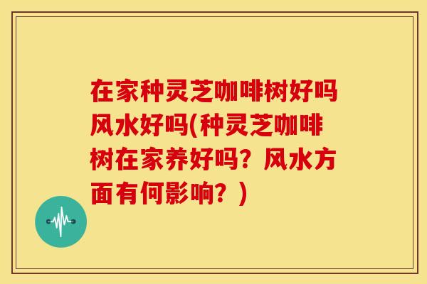 在家种灵芝咖啡树好吗风水好吗(种灵芝咖啡树在家养好吗？风水方面有何影响？)