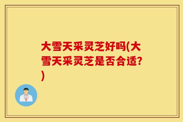 大雪天采灵芝好吗(大雪天采灵芝是否合适？)